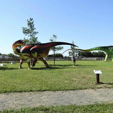 Holiday home In - Bird's Cage For 2 Persons Wrzosowo (Kamien)